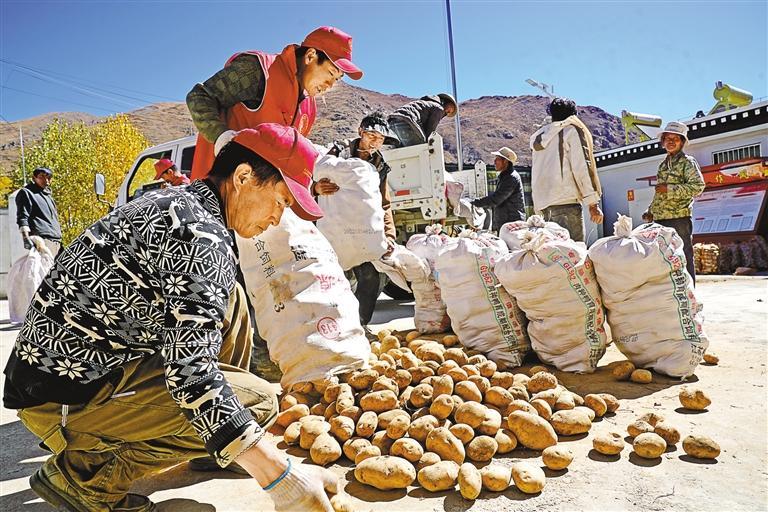 加嘎村最新动态，进步与变迁的见证